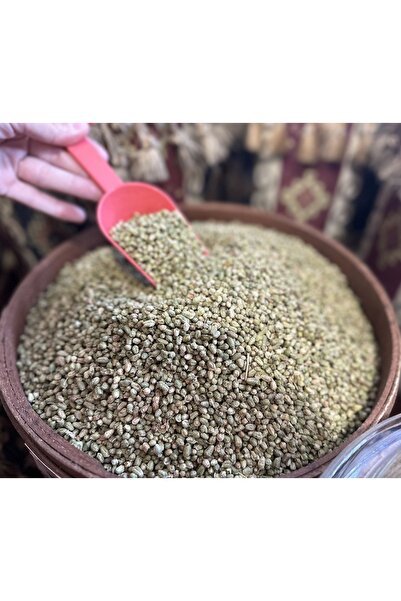 BİLYE KEKİK 500 GR