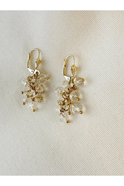 Retrobird Kristal Taşlı Üzüm Salkımı Küpe Kadın Altın Sarısı