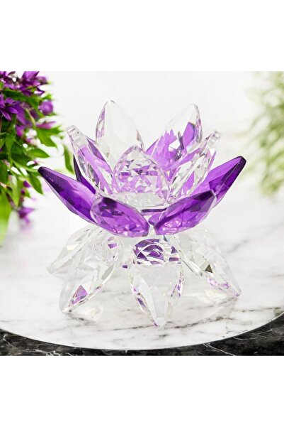 BELİZ HOME AYAKLI DEKORATİF NİLÜFER