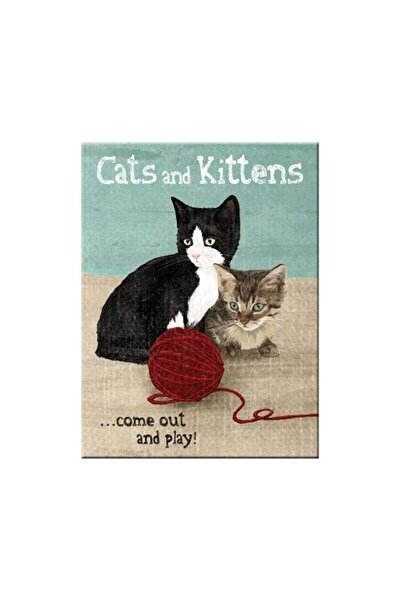 Nostalgic Art Cats And Kittens Magnet 14242
