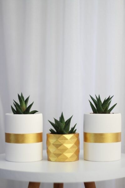 LOREMY Üçlü Beton Saksı Seti Beyaz-gold Kaktüs Sukulent Saksısı