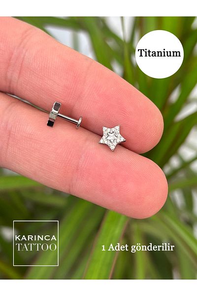 Karınca Piercing ثقب هيليكس من التيتانيوم بنسبة 100% مرصع بأحجار الزركون النجمي - الأذن، Labret، الشق المسطح، أقراط الزنمة
