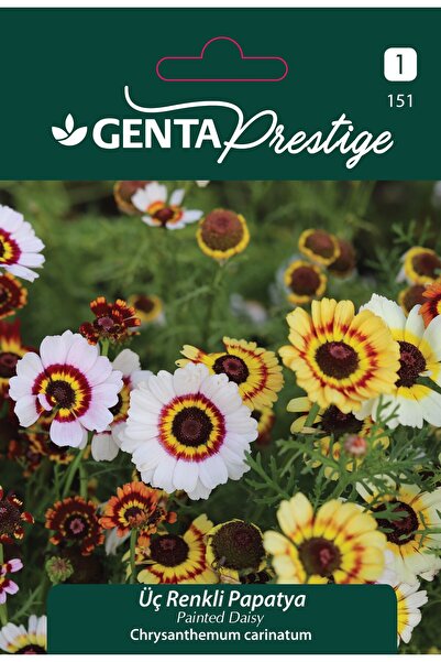 Genta Prestige Üç Renkli Papatya Çiçek Tohumu