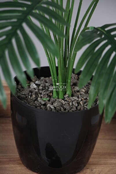 Yapay Çiçek Deposu Yapay Areka Ağacı(palmiye bitkisi) 18 Yapraklı Siyah Saksıda 80 cm