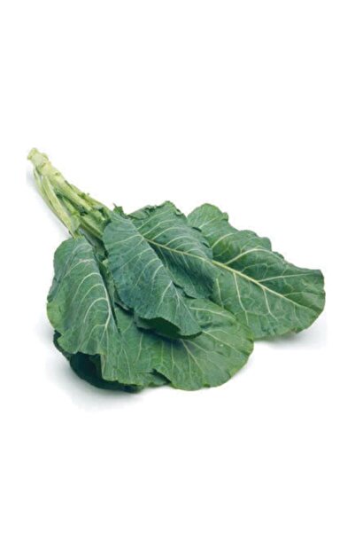 Murat Tohumculuk Süper Paket Yerli Karadeniz Lahana Tohumu Kara Lahana Tohumu...