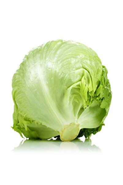 FarmLife Tohum Iceberg Göbek Marul Tohumu 5000 Adet