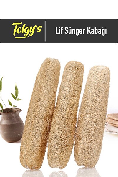Tolgys Lif Sünger Kabak Tohumu / 20+ Adet Tohum