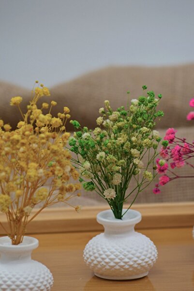 Dekora Çiçek Μίνι βάζο 4 τεμαχίων (με 4 διαφορετικά τσιπσό), διακοσμητικό στοιχείο, παρουσίαση στο πλαϊνό της καφέ