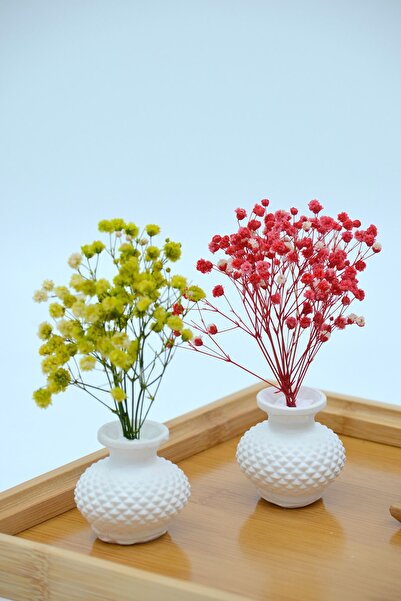 Dekora Çiçek 2'li Mini Vazo (Kırmızı ve Yeşil Cipso İle Birlikte), Süslük, Ka...