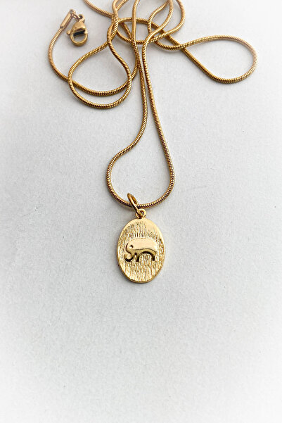 roshel Çelik Madalyon Fil Model Altın Renk İnce Zincir Çelik Kolye