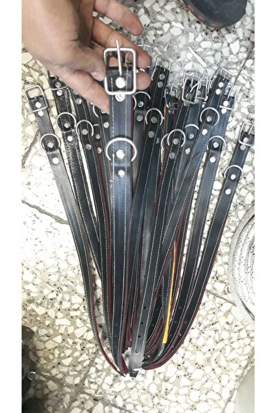 dorak hırdavat Derı Dar Kopek Tasması