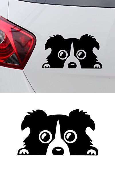 MIGNATIS Border Collie Köpek Resmi Oto Araba Cam Sticker Çıkartma Bilgisayarl...