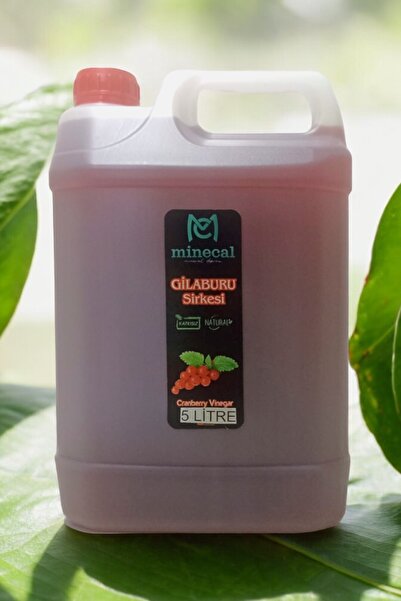 Güzeldost Gleburu Sirkesi 5 Litre (EL YAPIMI SİRKE TARIM BAKANLIK ONAYLIDIR)