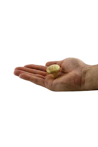 NZB Mobilya Düğme Sert Plastik Kayın Dolap Mutfak Dolabı Çekmece Dolap Kapak Kulpu Kulbu Kulp