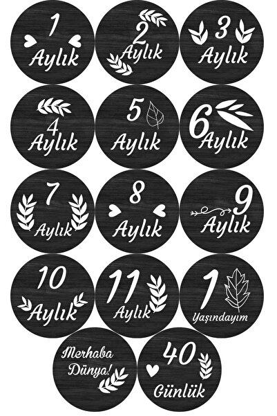 Aldebaran Reklam 12 Month Wooden Baby Photo Plaque Set