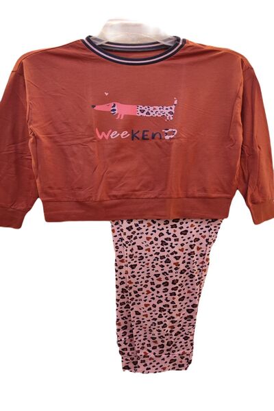 Kız Çocuk Desenli Uzun Kollu Pijama Takım
