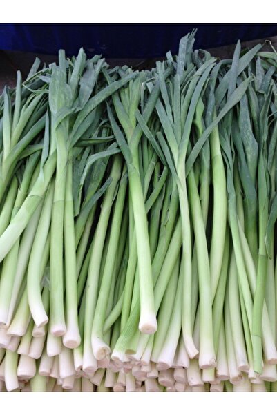 ERDEM GARDEN Yerli Doğal Pırasa Tohumu Uzunbilek 100 Ad. Tohum