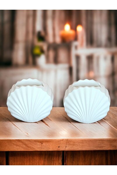 stonnish Βάζο με μύδια Μπετόν, Μίνι Σετ 2, Διακοσμητικό Δώρο, Ακατέργαστο Λευκό