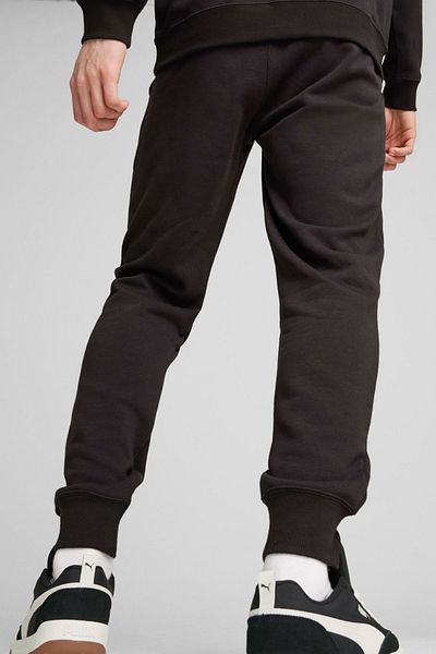 Puma Men Sportswear Fit Outdoor Sweatpants, Black
