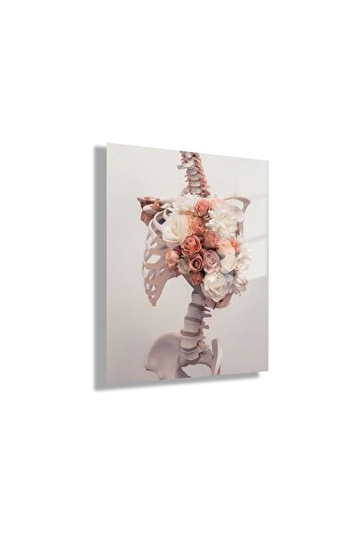 GAAGART Temperli Cam Poliklinik Tablosu Fizyoterapi Sanatsal Omurga