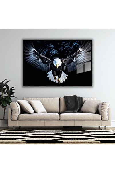 GAAGART Metal Çerçeveli Yatay Cam Tablo  Siyah Beyaz Kartal