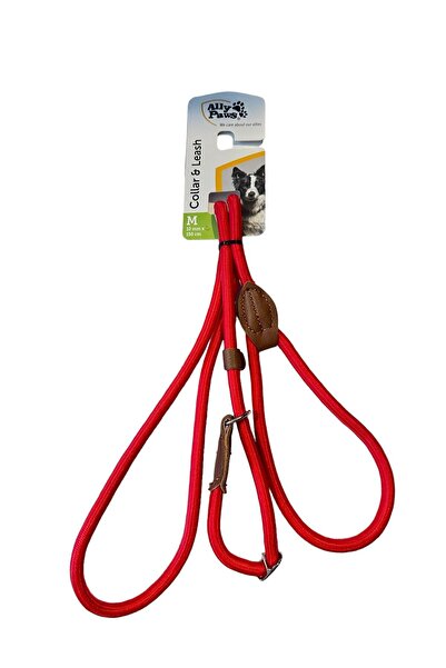 ALLYPAWS طوق أحمر للرقبة والسفر من Ally Paws M - 1 سم × 150 سم
