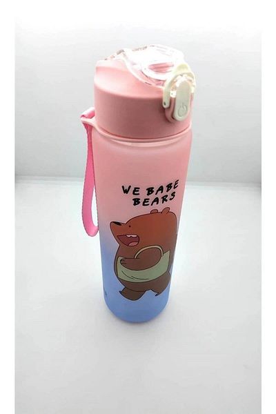 Taros Bear 800 ml - Pink and Blue Flask