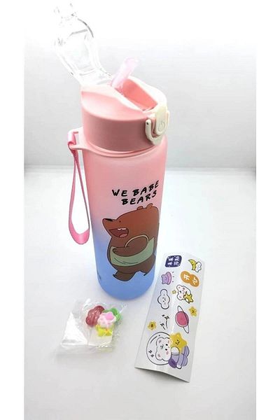Taros Bear 800 ml - Pink and Blue Flask