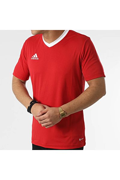 adidas Men's Training T-shirt Suitable for Daily Use and Sports – Comfortable Plain T-shirt