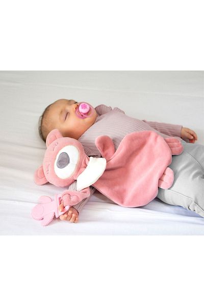Babyjem Sleepy Bear with Teether Dried Rose
