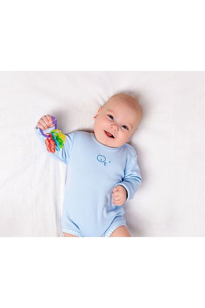 Babyjem Purple Rattle