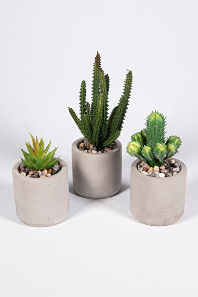 YAPAY ÇİÇEKÇİNİZ Gri Beton Saksıda 3'lü Yapay Kaktüs Seti