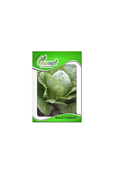 Sunagri Tohumculuk Yedikule Marul Tohumu 5 Gr. ( Ata Tohum )