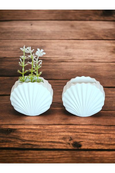 stonnish Mussel Vase Concrete, Mini Set of 2, Decorative Gift, Raw White
