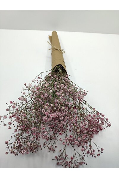 Cipso Şoklanmış Fuşya Renginde 40-50gr 1.kalite