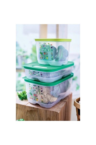 Tupperware Greenhouse Set of 3