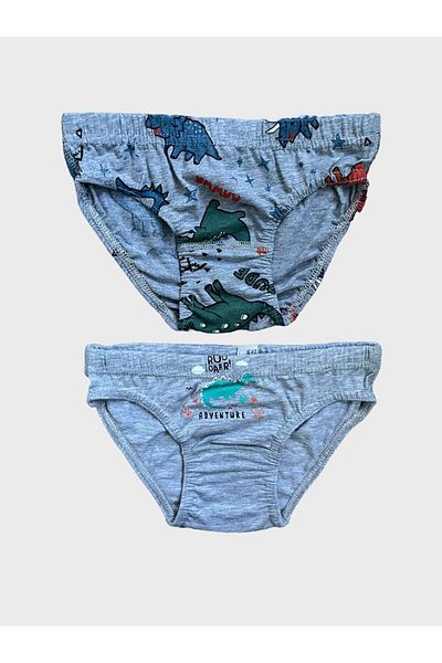 elmas kids Cotton Dinosaur Patterned 2-Piece Panties Set for Boys