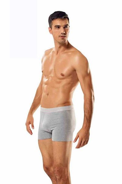 Namaldı Ανδρικό γκρι 6 Pack Lycra Boxer Elf568n1283ccm6