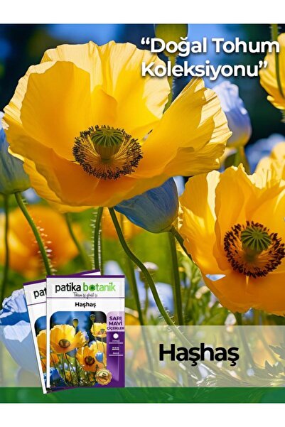 Patika Botanik 7000 Adet Haşhaş Tohumu - Sarı, Mavi Renk