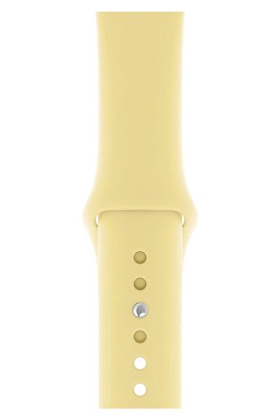 Nezih Case Apple Watch Seri 7/8/9/SE/SE2/Ultra/Ultra 2 Uyumlu 42/44/45/49mmJel Silikon Spor Kayış