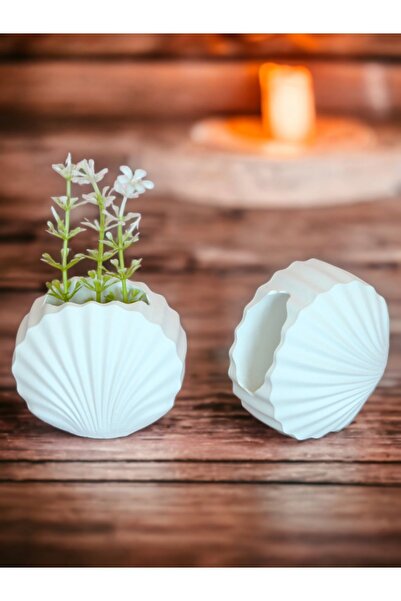 stonnish Βάζο με μύδια Μπετόν, Μίνι Σετ 2, Διακοσμητικό Δώρο, Ακατέργαστο Λευκό