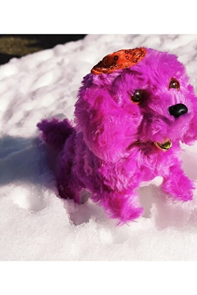 Brother Toys Pilleri Hediye Yürüyen Havlayan Sevimli Peluş Pilli Oyuncak Köpek 13 Cm. Krem Pembe Mavi Kahve Mor