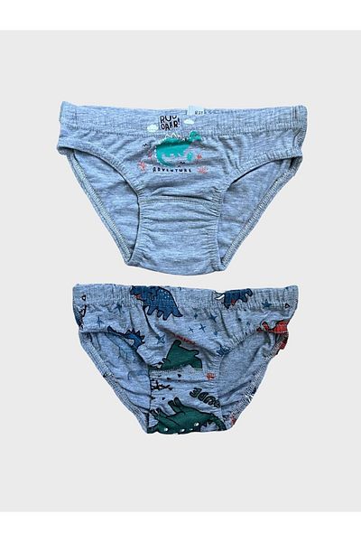 elmas kids Cotton Dinosaur Patterned 2-Piece Panties Set for Boys