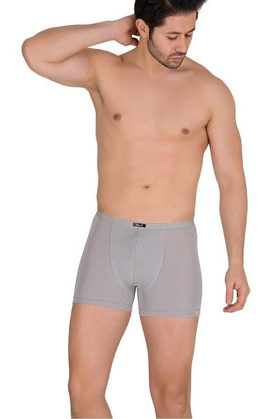 Berrak Ανδρικά 3 τεμάχια γκρι χρώματος λεπτή ζώνη Modal Boxers