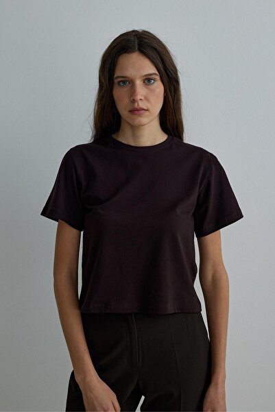 Suud Collection Bitter Brown Cotton Basic T-Shirt