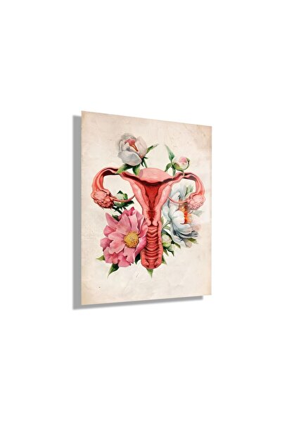 GAAGART Temperli Cam Kadın Doğum Poliklinik Tablosu Soft Uterus