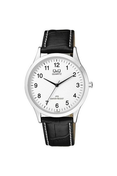 Q&Q Men's Wristwatch C212j304y