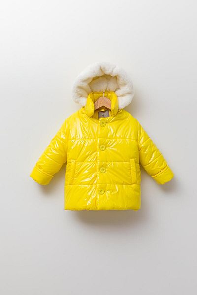 Babyhola Hooded Water and Windproof Girl's Boy's Puffer Jacket 13441