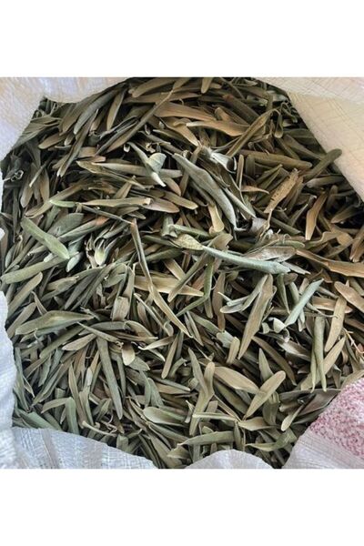 DOĞA NİMETİ Zeytin Yaprağı Çayı 1KG ORGANİK ( Doğal Kurutulmuş, Elenmiş, Katk...