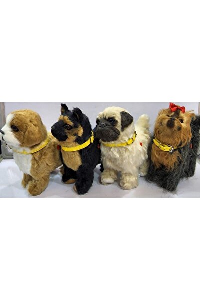 Tasmalı Sesli Yürüyen Köpek